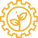 Formación